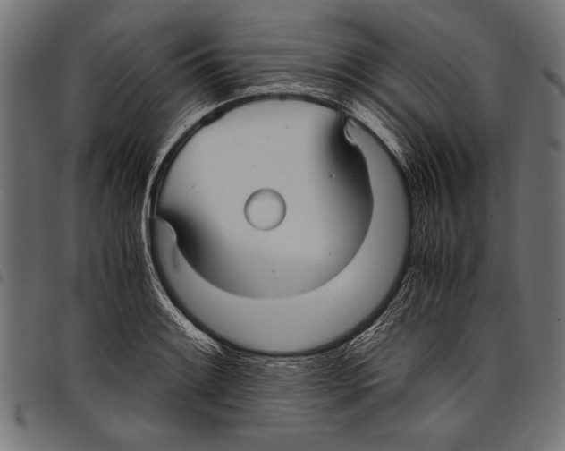 X0000097661084200803280946