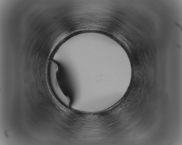 X0000097661085200803280946