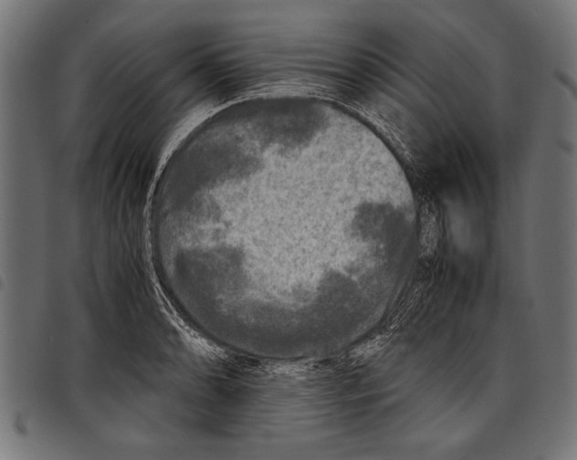 X0000097661086200803280946