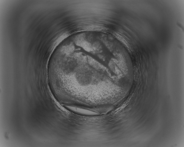 X0000097661087200803280946