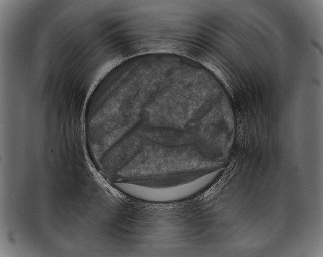 X0000097661088200803280946