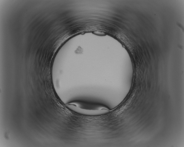 X0000097661089200803280946