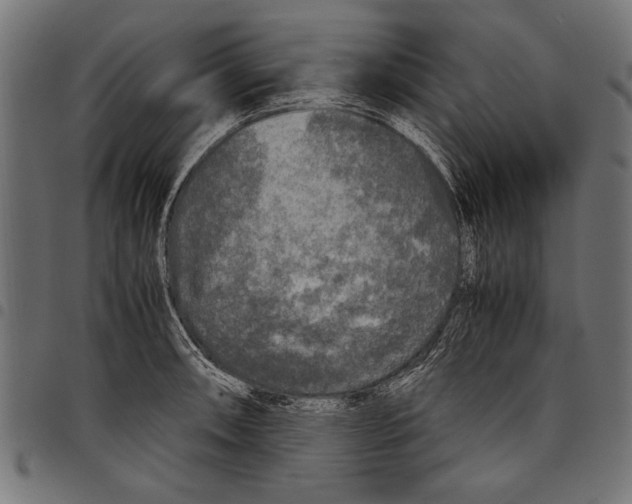 X0000097661090200803280946