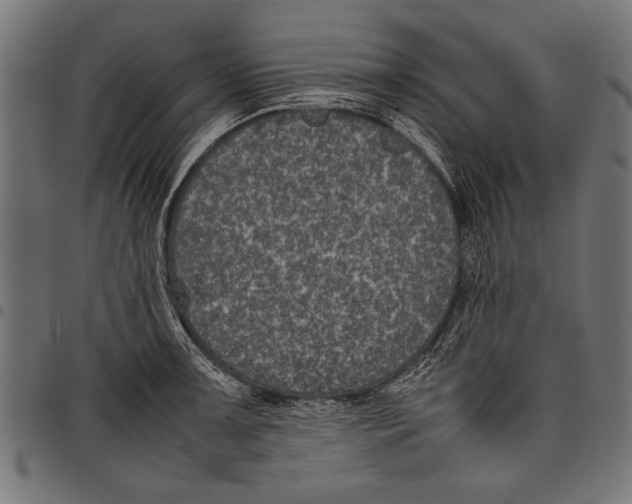 X0000097661091200803280946