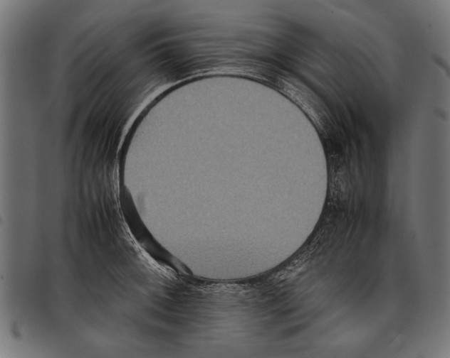 X0000097661092200803280945