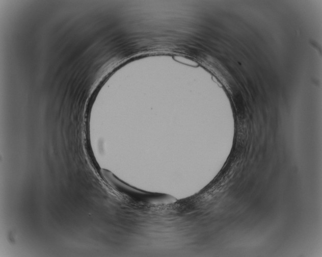 X0000097661093200803280945