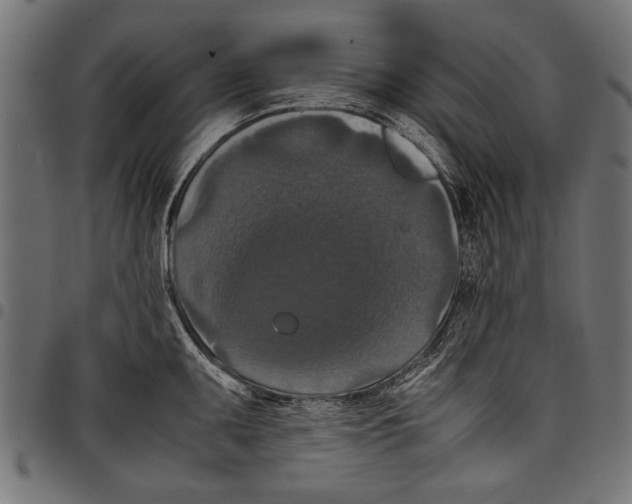 X0000097661095200803280945