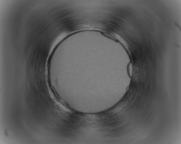 X0000097661096200803280945
