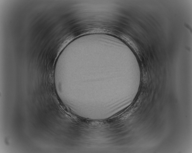 X0000097661097200803280945