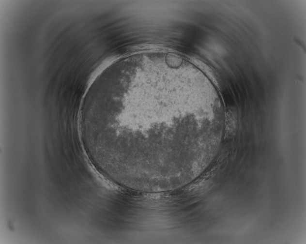 X0000097661098200803280945