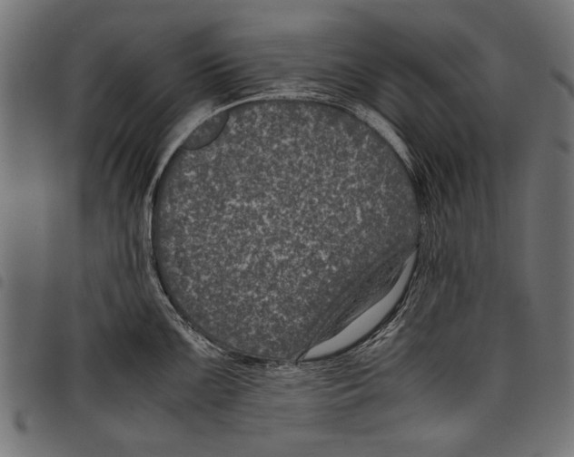 X0000097661099200803280945