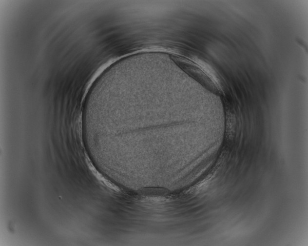 X0000097661100200803280945