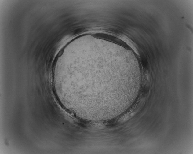 X0000097661101200803280945