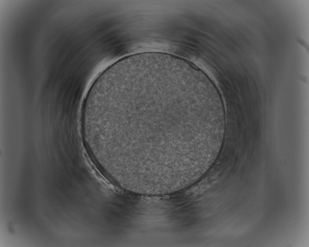 X0000097661104200803280945