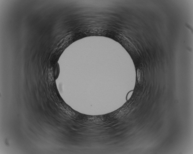 X0000097661107200803280945
