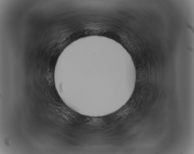 X0000097661109200803280945