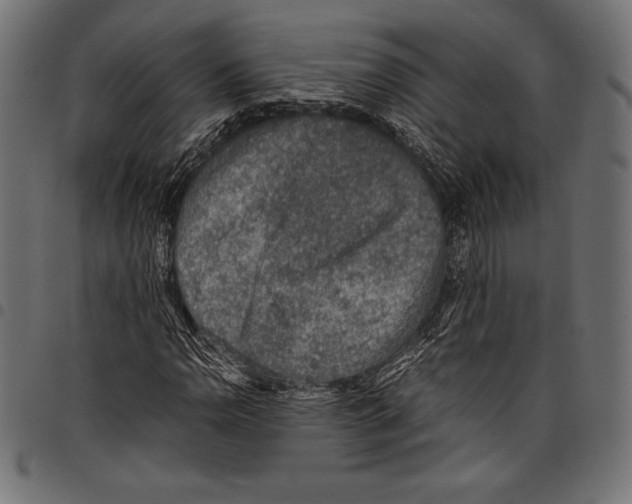 X0000097661110200803280945