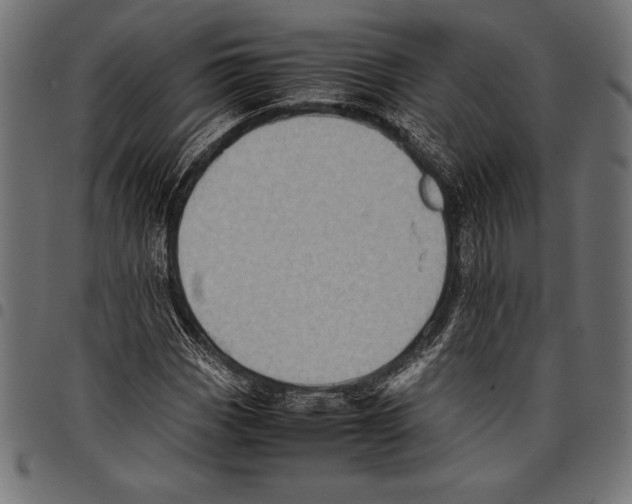 X0000097661113200803280945