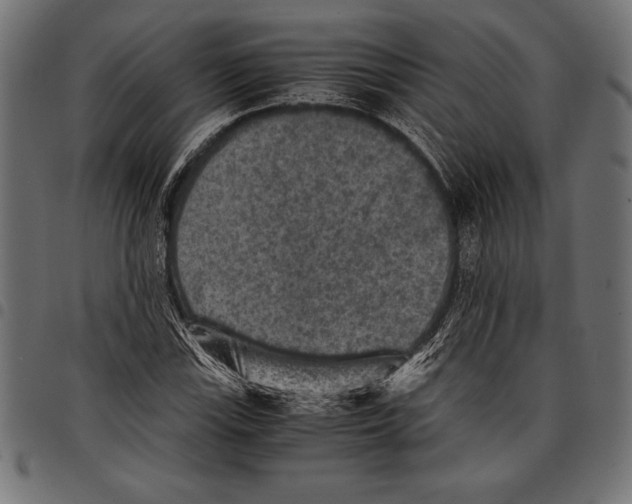 X0000097661115200803280945