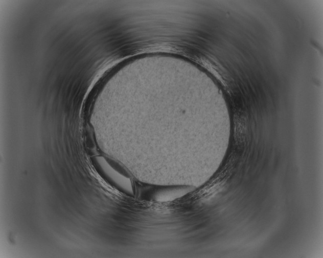 X0000097661116200803280945