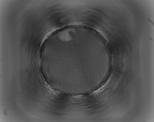 X0000097661117200803280945