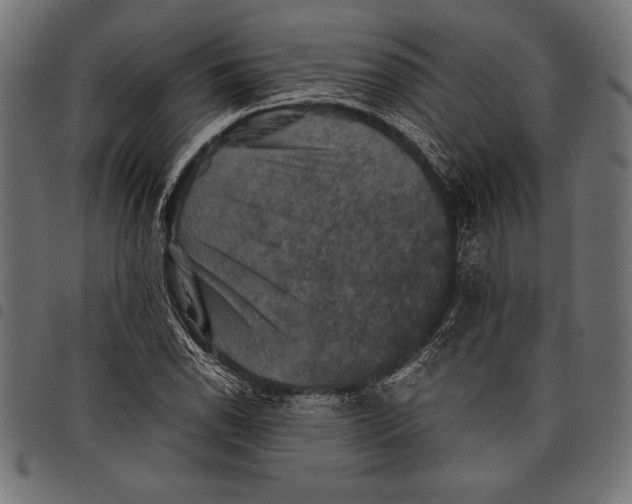 X0000097661118200803280945