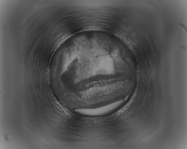 X0000097661121200803280945