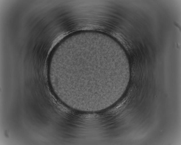 X0000097661122200803280945