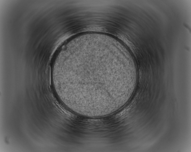 X0000097661123200803280945