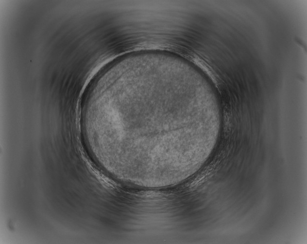 X0000097661124200803280945