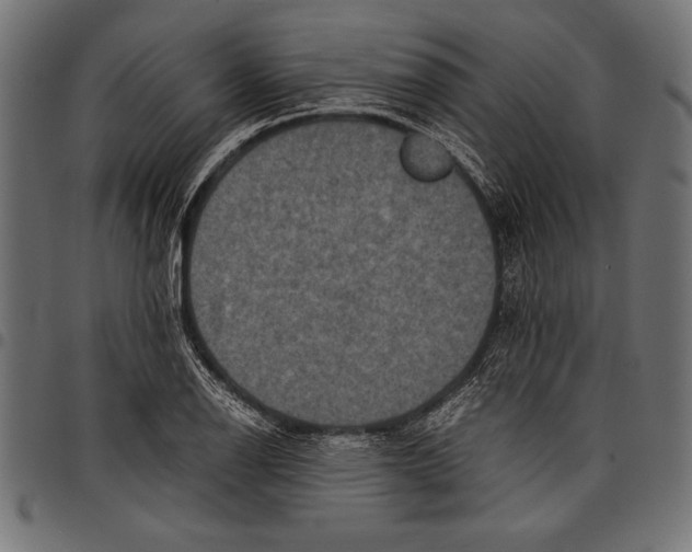 X0000097661126200803280945