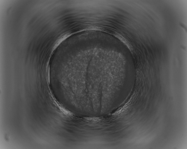 X0000097661127200803280945