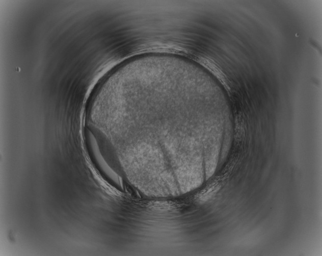 X0000097661128200803280945