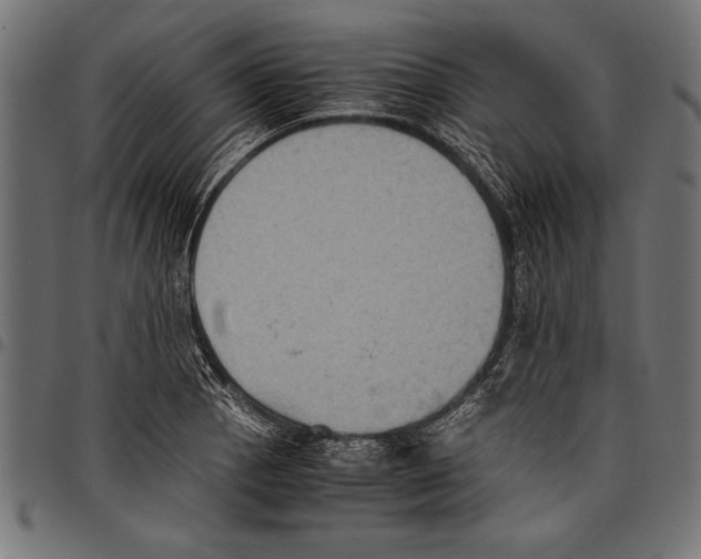 X0000097661129200803280945