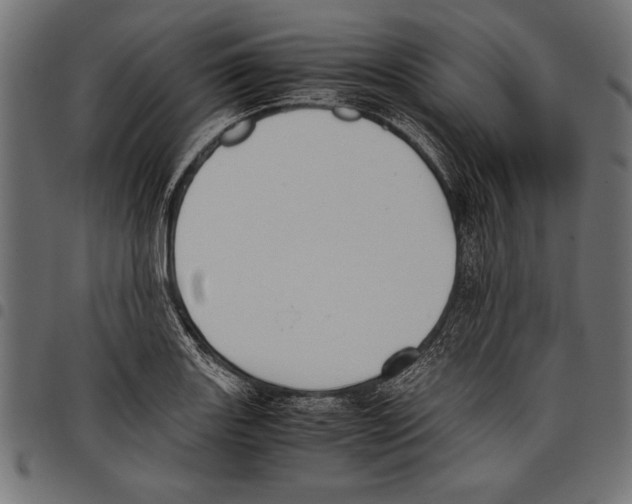 X0000097661131200803280945