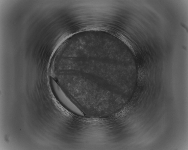 X0000097661132200803280945