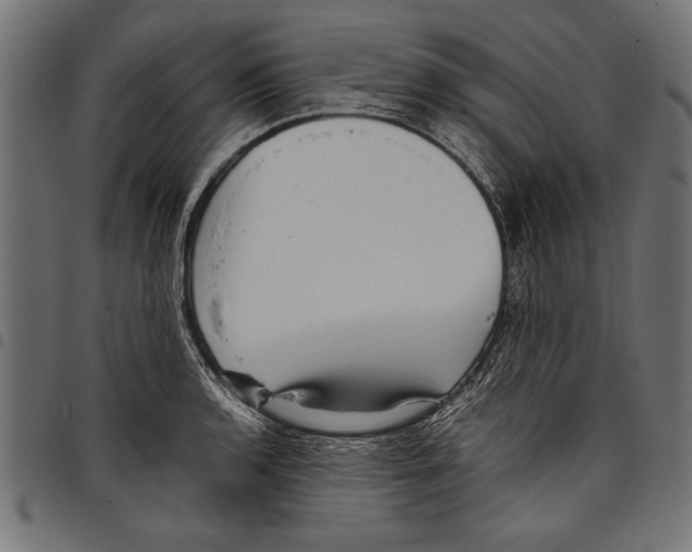 X0000097661136200803280945