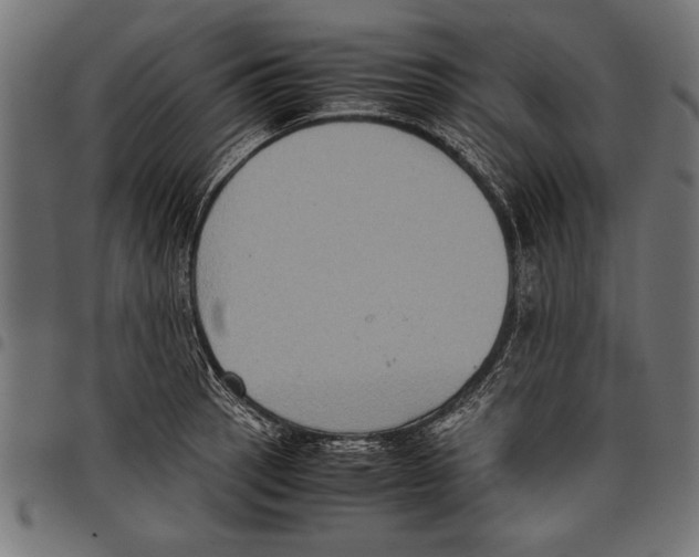 X0000097661137200803280945