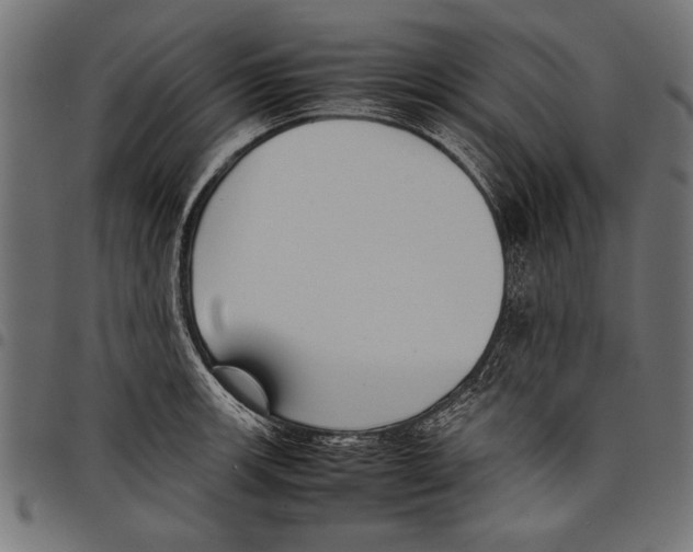 X0000097661139200803280945