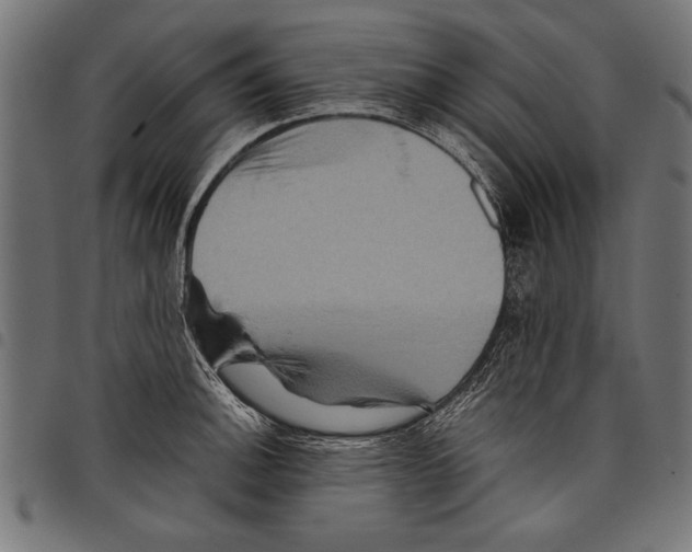 X0000097661140200803280945