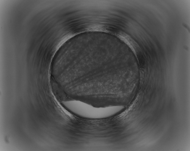 X0000097661141200803280945