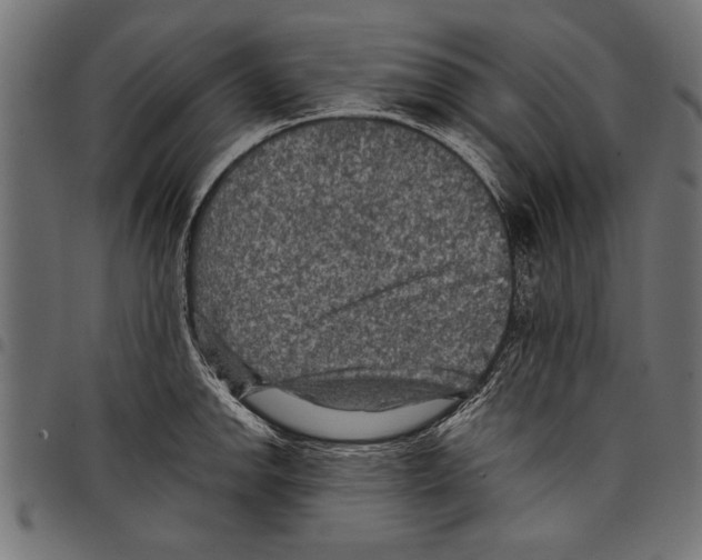 X0000097661142200803280945