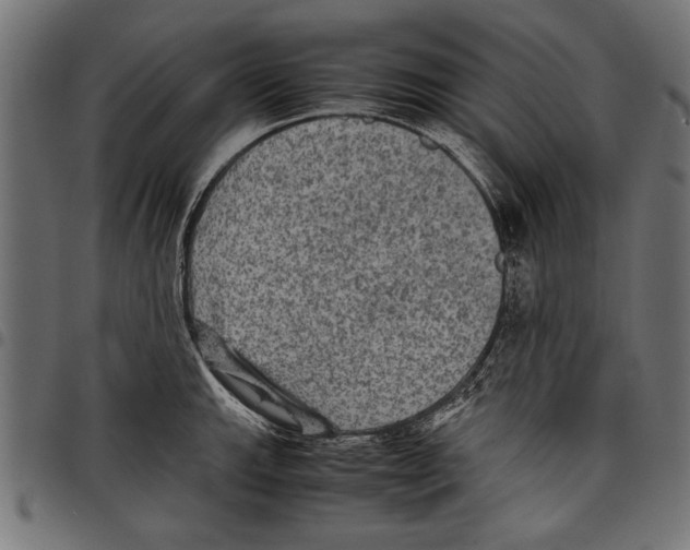 X0000097661143200803280945