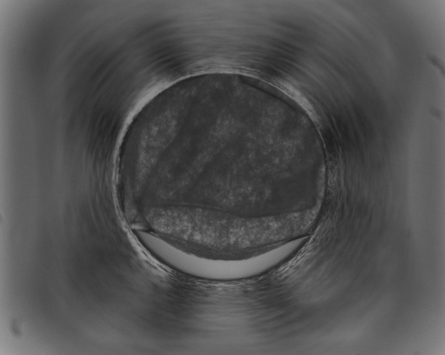 X0000097661144200803280945