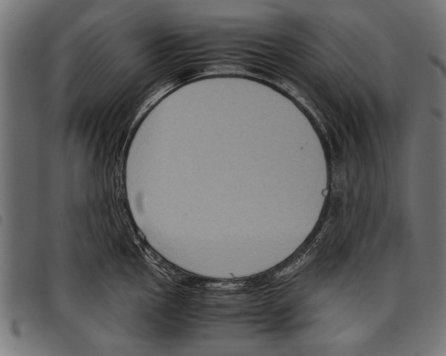 X0000097661145200803280945