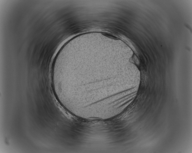 X0000097661148200803280945