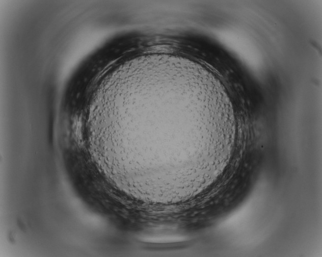 X0000097661150200803280945