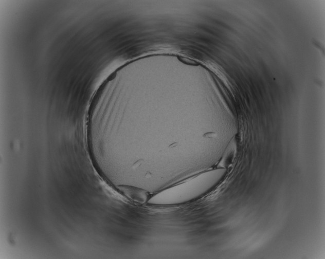 X0000097661151200803280945