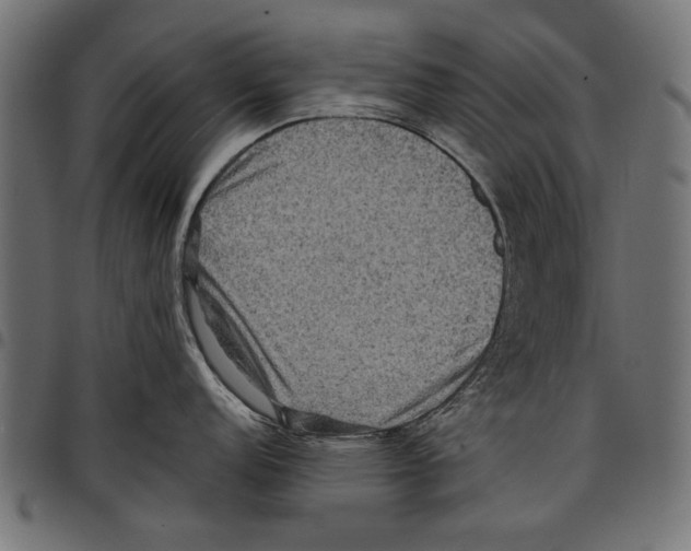 X0000097661152200803280945