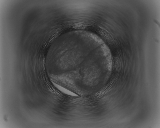 X0000097661154200803280945